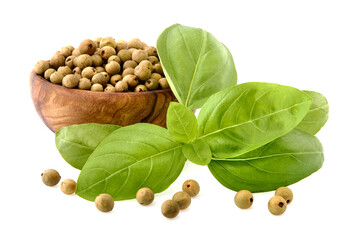 Fresh Basil leaves with white pepper   in closeup on white background