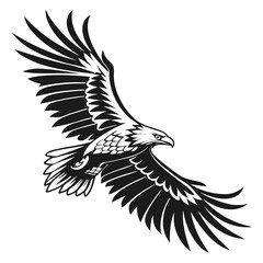 Black eagle in flight with spread wings graphic bird