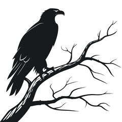Obraz premium Black eagle perched on bare tree branch silhouette