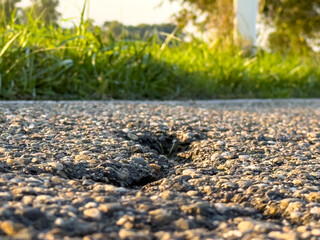 German Road Cracks in Late Sunlight: Low angle pothole close-up towards the sun with roadside greenery