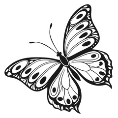 Black butterfly with ornate symmetrical wings insect