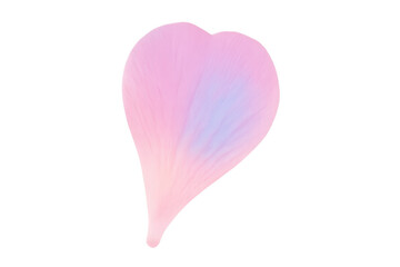 Fototapeta premium Pink heart shaped flower petal transparent background