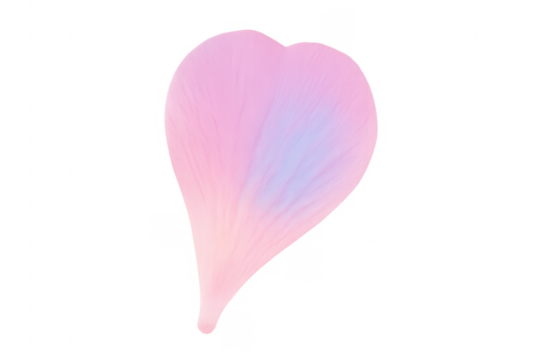 Pink heart shaped flower petal transparent background - Powered by Adobe