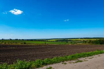 Plowed agricultural field with green grass and clear blue sky. Rural farmland landscape with distant trees and horizon. Countryside and agriculture concept for design, poster, and wallpaper