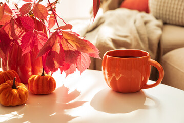 Cozy Autumn Living Room Scene with Mug, Notebook and Seasonal Decor under Sun Light