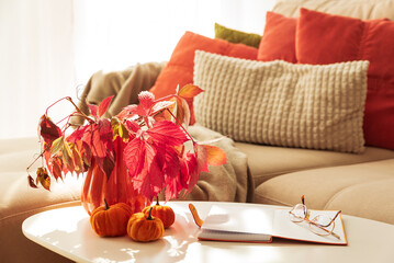 Cozy Autumn Living Room Scene with Mug, Notebook and Seasonal Decor under Sun Light