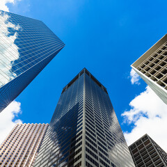 Modern downtown skyscrapers