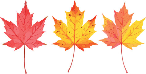 Autumn leaves illustration, red yellow foliage, seasonal change, maple leaf design, fall colors, nature vector art, botanical elements
