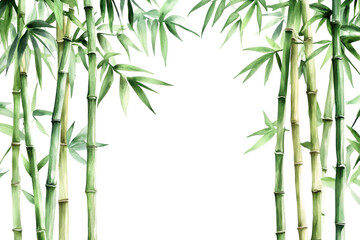 Obraz premium Watercolor painting featuring elegant bamboo stalks arranged gracefully on a white background, capturing the natural beauty and tranquility of this plant
