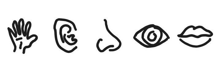 vector illustration of an abstract background, transparent Five human senses editable stroke outline icons set isolated on white background flat vector illustration. 