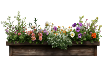 Colorful flowers blooming in a wooden window box bringing charm to any setting