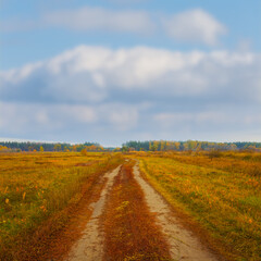ground road among wide dry autumn prairie under a blue cloudy sky