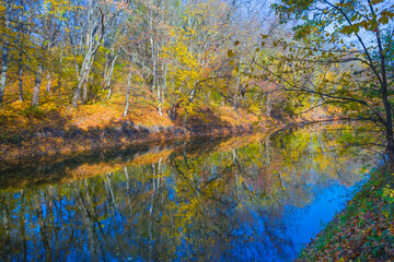 calm river  with forest in red dry leaves on the coast, quiet outdoor autumn landscape