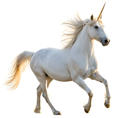 A majestic white unicorn with a golden horn galloping gracefully on a black background in a fantasy setting