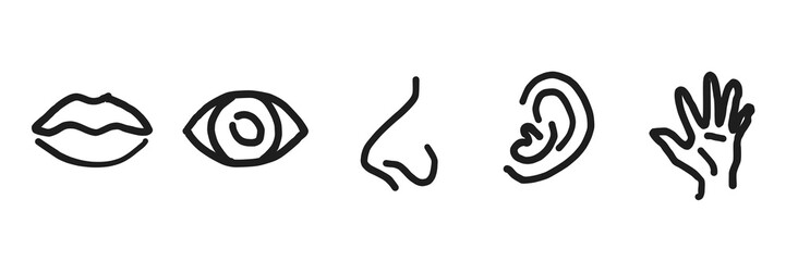 icons set isolated on white background flat vector illustration, transparent Five human senses editable stroke outline - 1