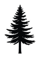 Obraz premium Pine tree silhouette isolated evergreen forest nature symbol black vector illustration