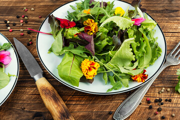 Delicate salad, fresh salad.