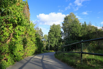 Fence in nature with road for walking. Järfälla, Stockholm, Sweden. September, 2025.