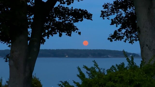 Perigee Syzygy: Supermoon Over Casco Bay