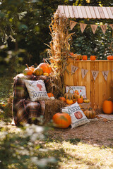 Autumn Farm Market Display with Pumpkins, Corn Stalks and Cozy Pillows