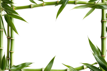 Bamboo shoots create a natural frame showcasing vibrant greenery and simplicity in a tranquil setting