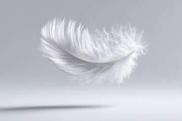 Fototapeta premium Elegant Floating White Feather on Grey Background