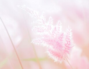 Delicate, pastel-toned flower in soft focus