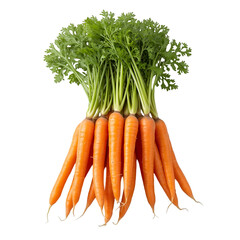 carrots isolated on white background