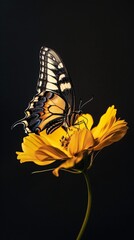 Macro Close-Up of a Butterfly on a Yellow Flower, Showcasing Delicate Wings and vivid Natural Colors