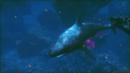 Fototapeta premium A great white shark glides gracefully through bright blue ocean waters, surrounded by colorful marine life. Sunlight filters down, illuminating its powerful form as it navigates the vibrant ecosystem.