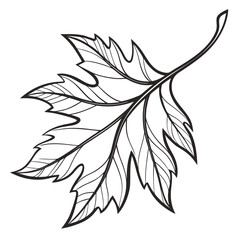 Black monoline leaf logo on white background vector