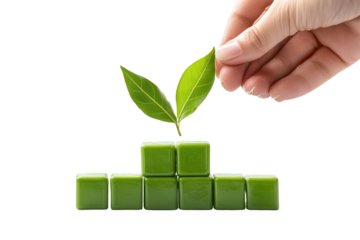 Hand placing a fresh green leaf on blocks to promote healthy plant growth in a clean and bright setting during daylight