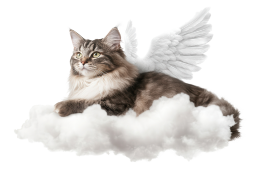 Fluffy cat with angel wings resting peacefully on a soft cloud in a serene and dreamlike atmosphere during a bright day