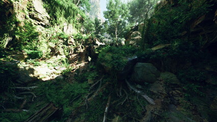 A scenic forest landscape captured from a moving vehicle. mountain path