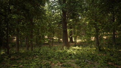 A forest filled with lots of green trees