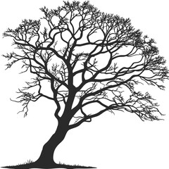 Black silhouette of a bare tree with intricate branches