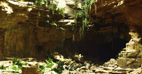 A stunning underground cave reveals vibrant greenery along its rocky walls. Natural light filters in, illuminating the intricate formations and shadows.