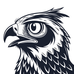 Dark bird of prey head with large eye white background