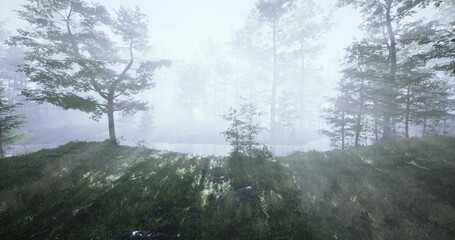 A tranquil forest landscape reveals tall trees partially hidden in mist. Sunlight streams through the fog, illuminating the lush green grass and creating an ethereal atmosphere.