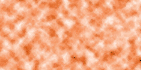 brown fur texture