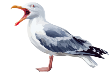 Seagull with open beak isolated on a transparent background, showcasing its unique features and vibrant colors in a natural pose