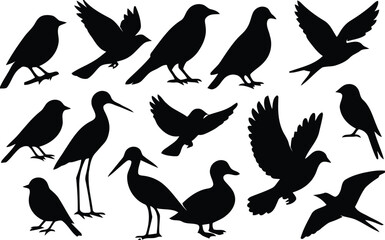 birds, silhouette, flying, perched, standing, wings, nature, wildlife, animal, flock, species, raven, crow, pigeon, stork, duck, sparrow, graphic, design, illustration, black and white, set, collectio