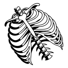 Black skeletal rib cage on white skeleton human anatomy