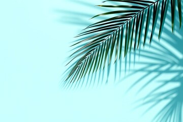 Fototapeta premium Generative AI palm frond casts a tropical shadow.