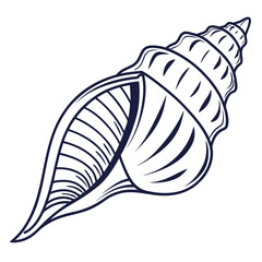 Dark blue line art seashell on white background conch shell