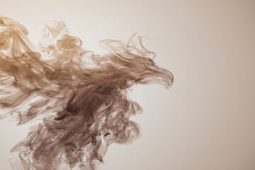 Fototapeta premium Abstract Smoke Formation Resembling a Bird