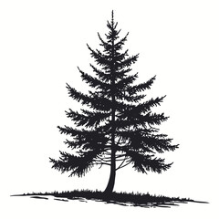Black silhouette of a pine tree on white background 1