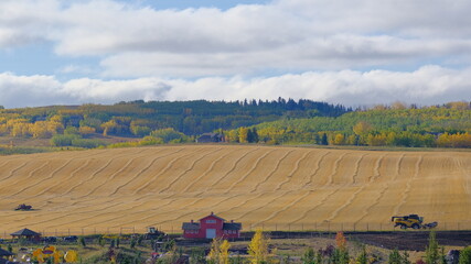autumn landscape in the countryside, autumn landscape in the mountains, road in autumn forest,...