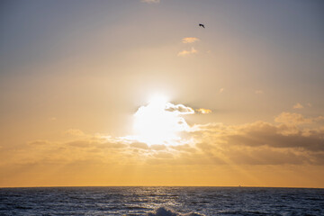 sunset on the paradisiacal beach of punta del este in uruguray