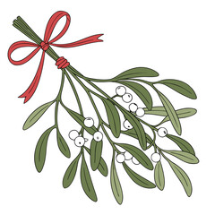 Mistletoe bunch tied with red ribbon christmas